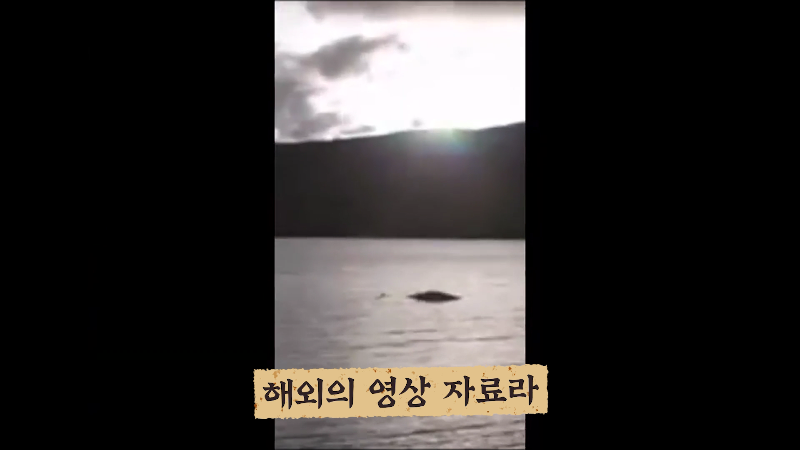 세계각국의 크립티드 영상 모음 | 인스티즈