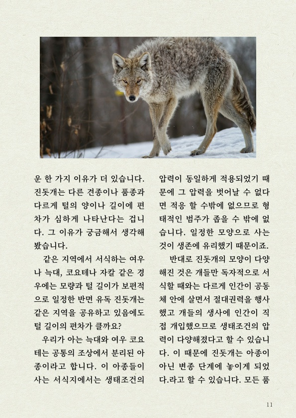 천재 진돗개의 '털' 감각 | 인스티즈