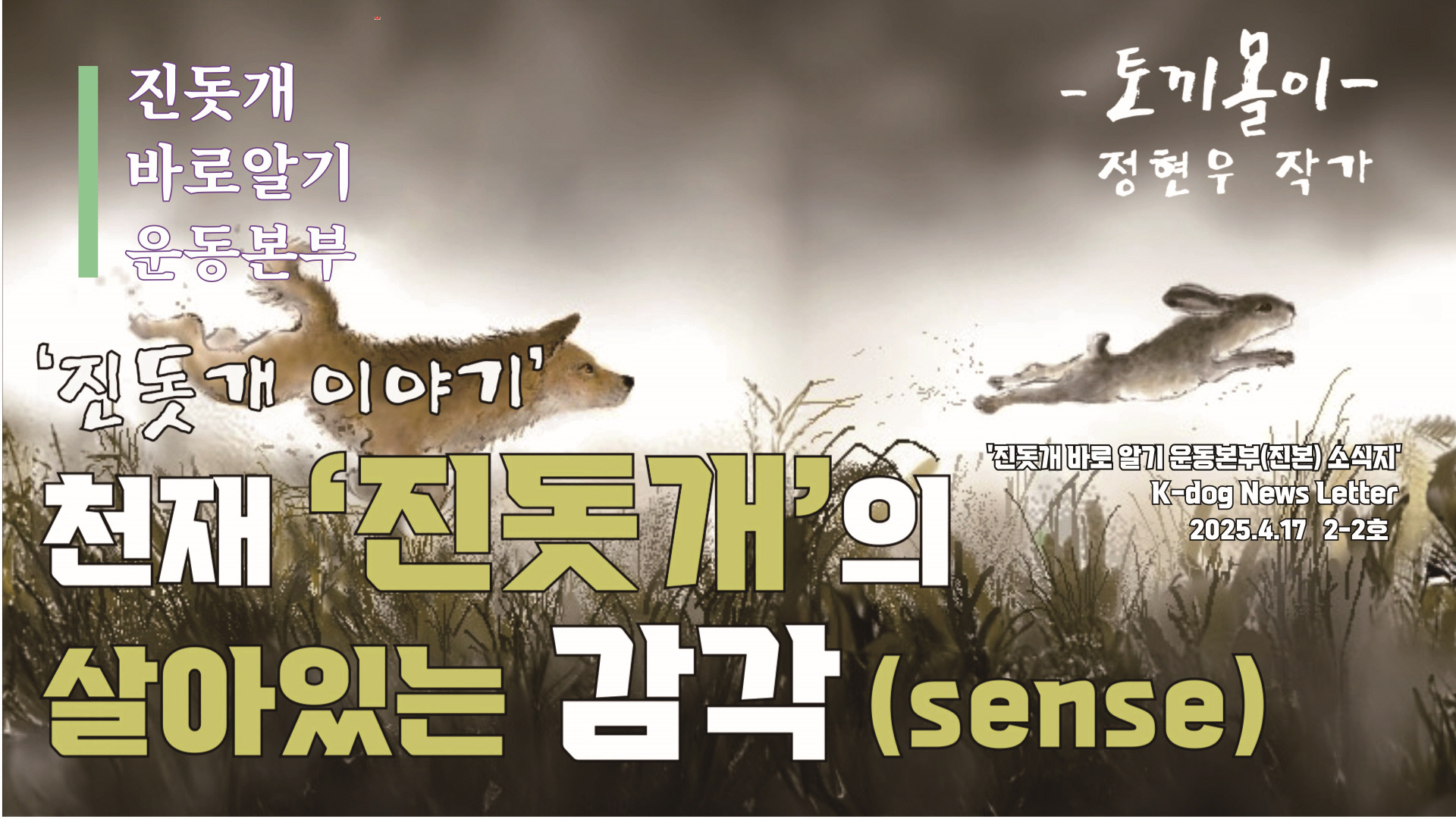 천재 진돗개의 '털' 감각 | 인스티즈