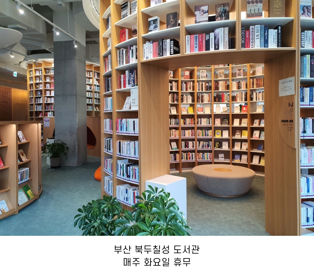 전국 도서관 정보 🌿📚 | 인스티즈