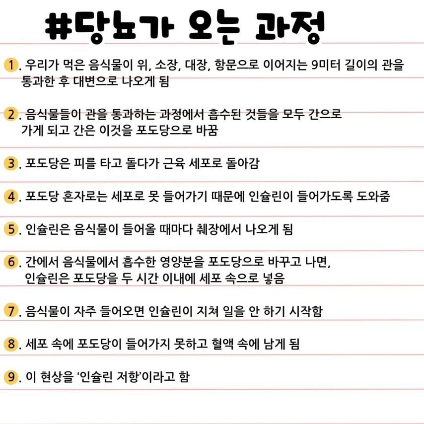 당뇨가 오는 충격적인 과정 | 인스티즈
