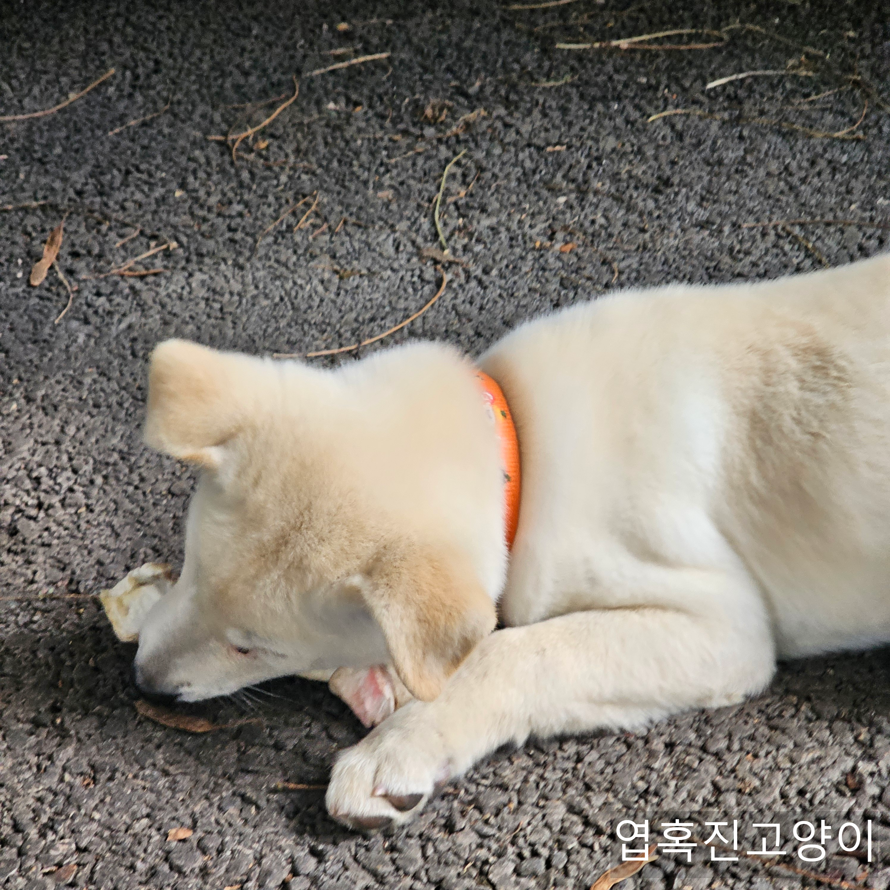 우리회사 복지자랑ㅎ | 인스티즈