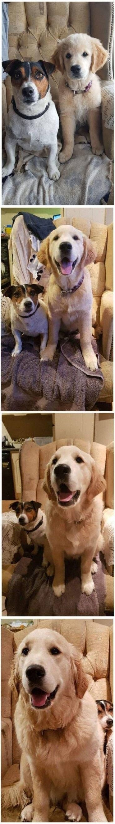 동생이 너무 빨리 커요 ㅠㅠ | 인스티즈