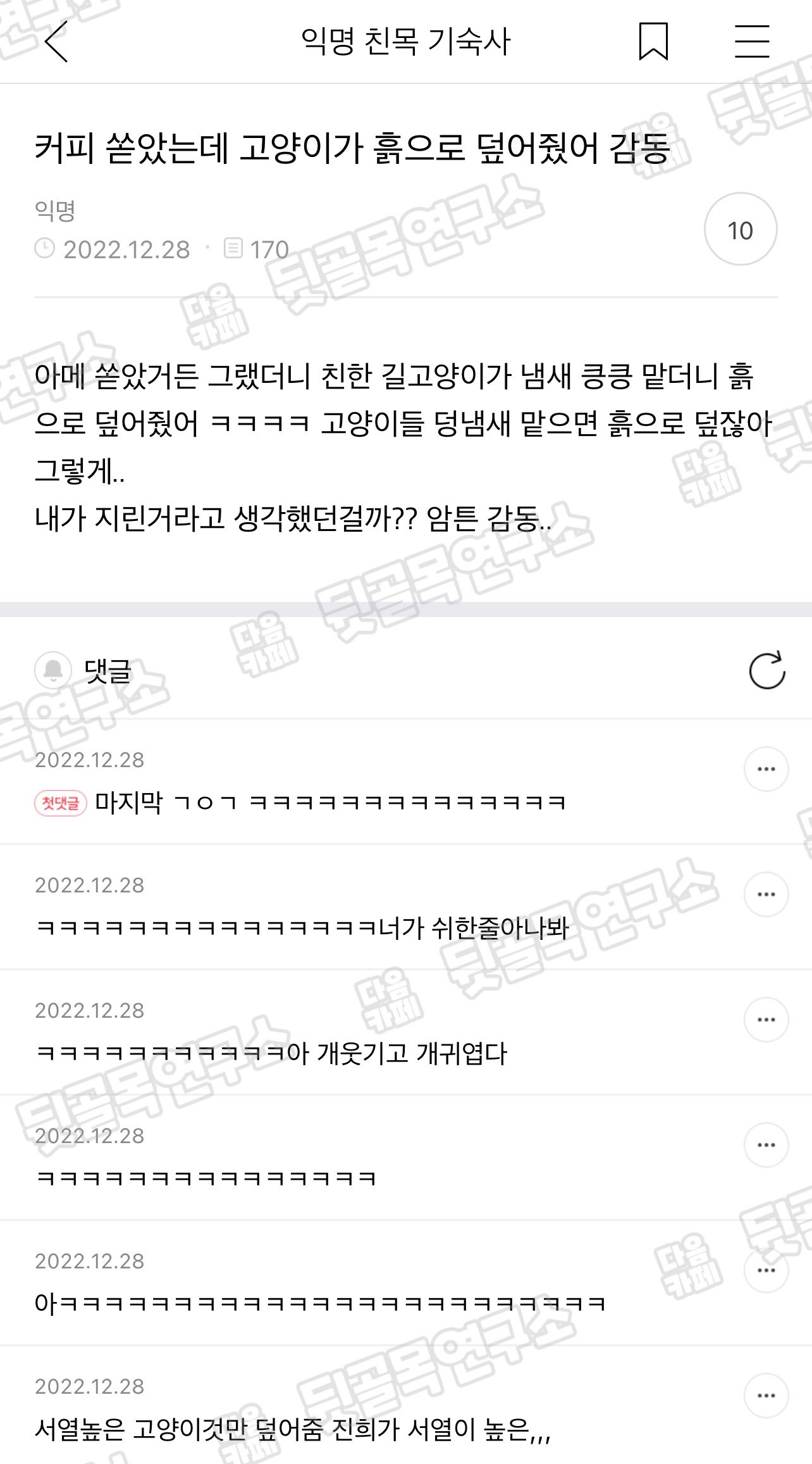 커피 쏟았는데 고양이가 흙으로 덮어줬어 감동 | 인스티즈