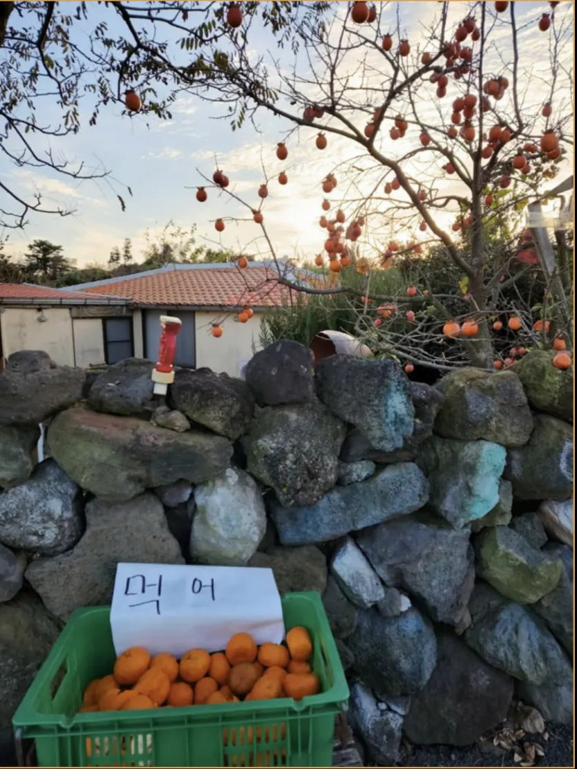 요즘 시골 인심 수준 .jpg | 인스티즈