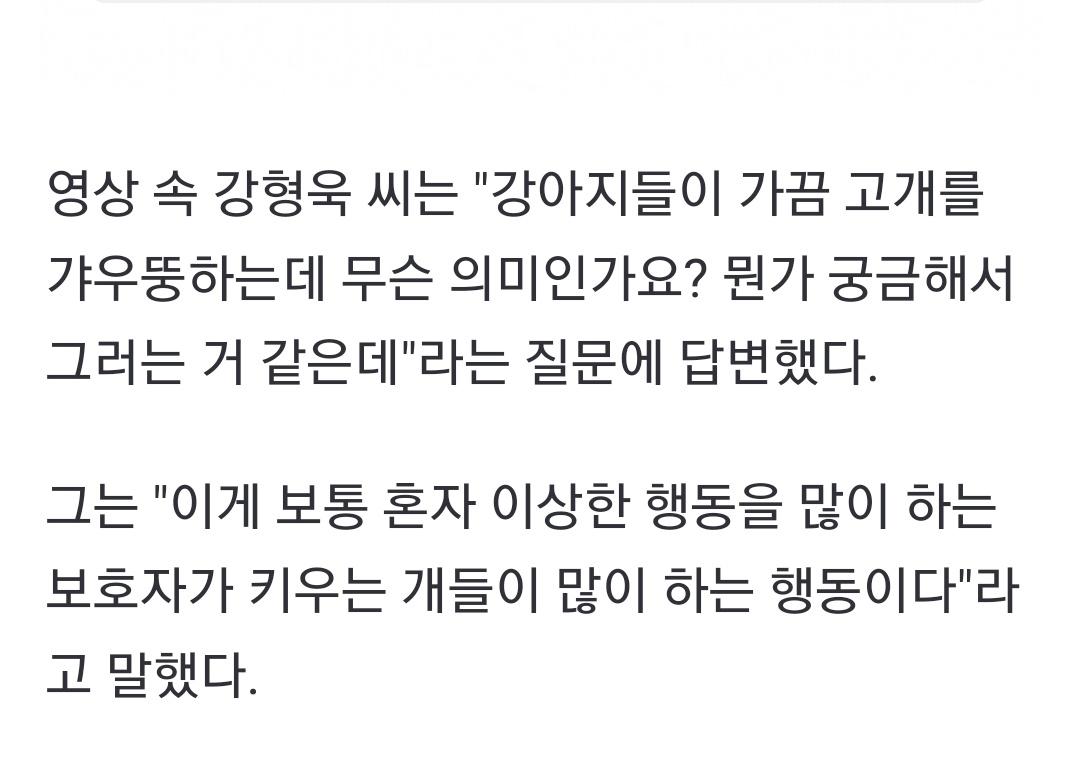 강아지들이 가끔 고개를 갸우뚱 하는데 무슨 의미인가요? | 인스티즈
