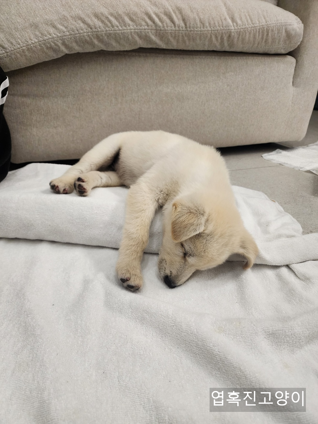 우리회사 복지자랑ㅎ | 인스티즈