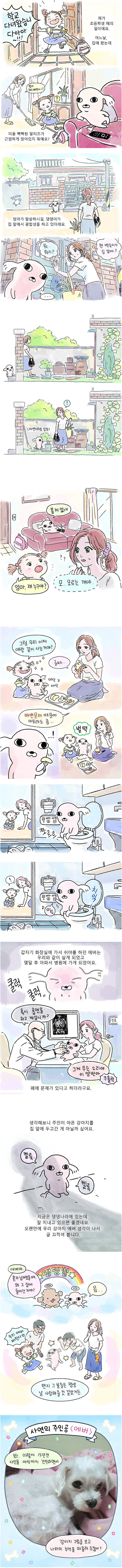 집에 와보니 백숙이 근엄하게 앉아있었다 | 인스티즈