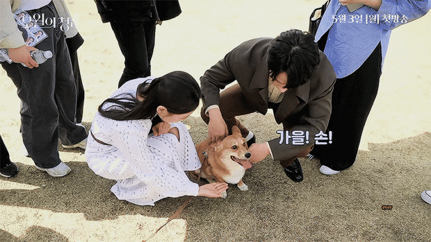 이도현 드라마 촬영장에서 반려견 가을이랑.gif | 인스티즈