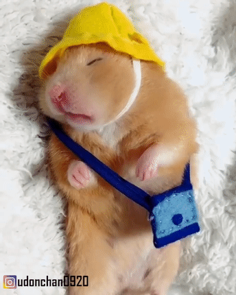 유치원 갈 준비 다 해놓고 잠들어버린 | 인스티즈