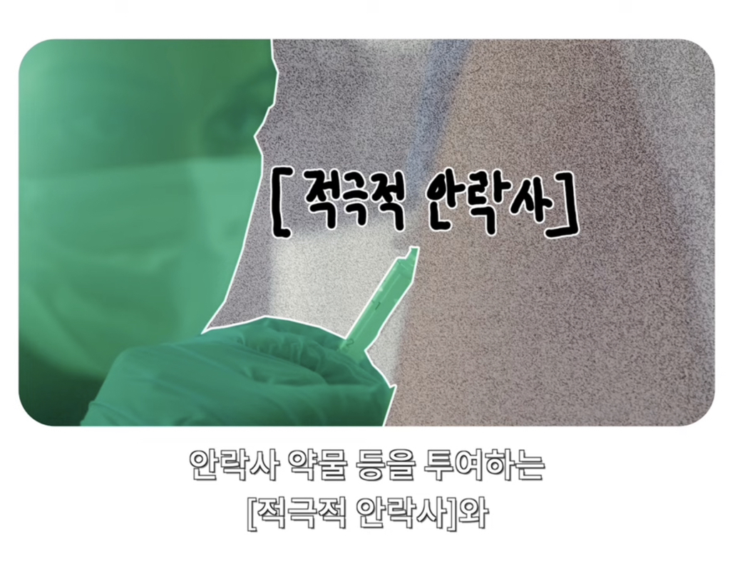 '조력사망'의 비용 1,500만원 | 인스티즈