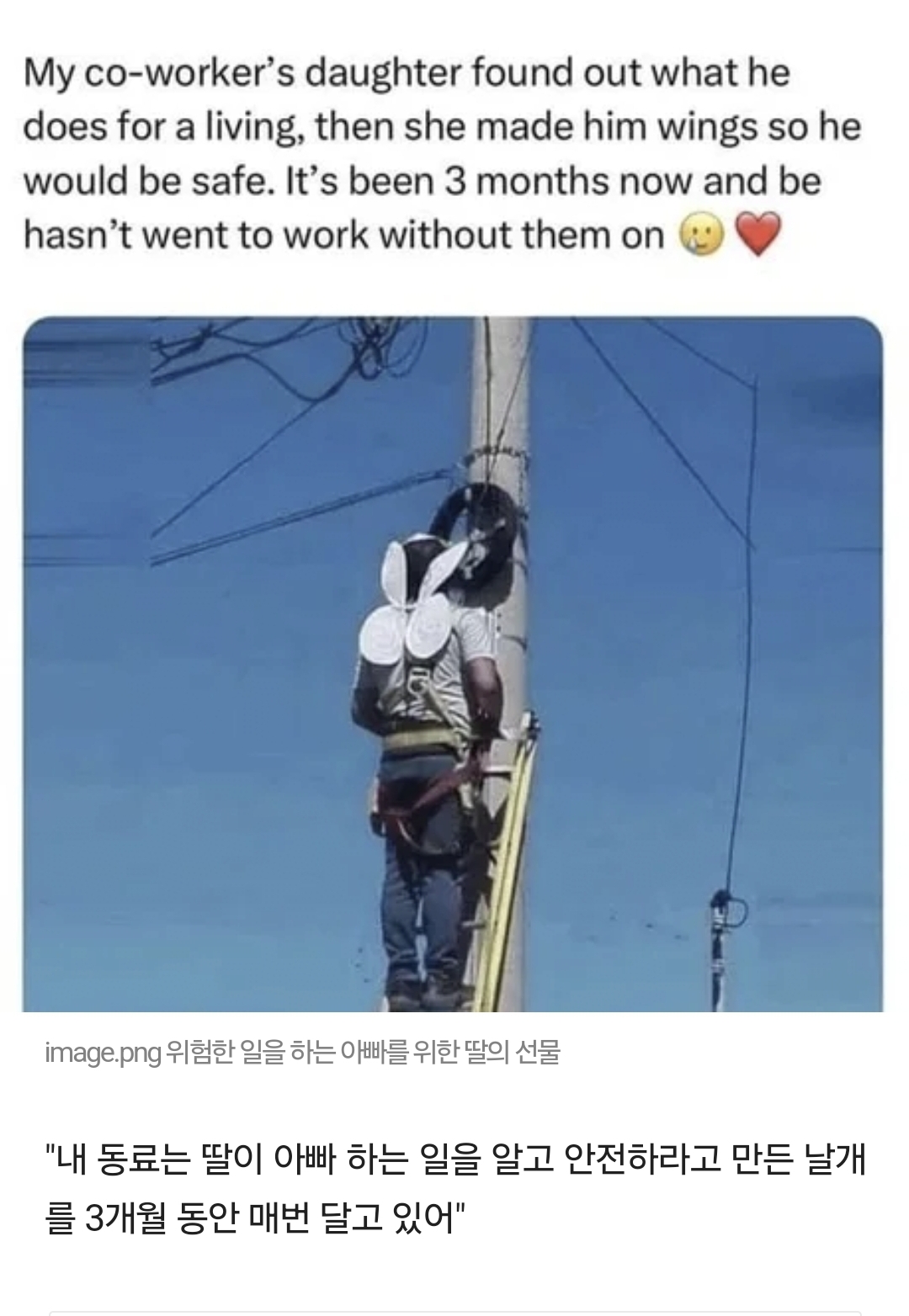 요정 날개의 비밀 | 인스티즈