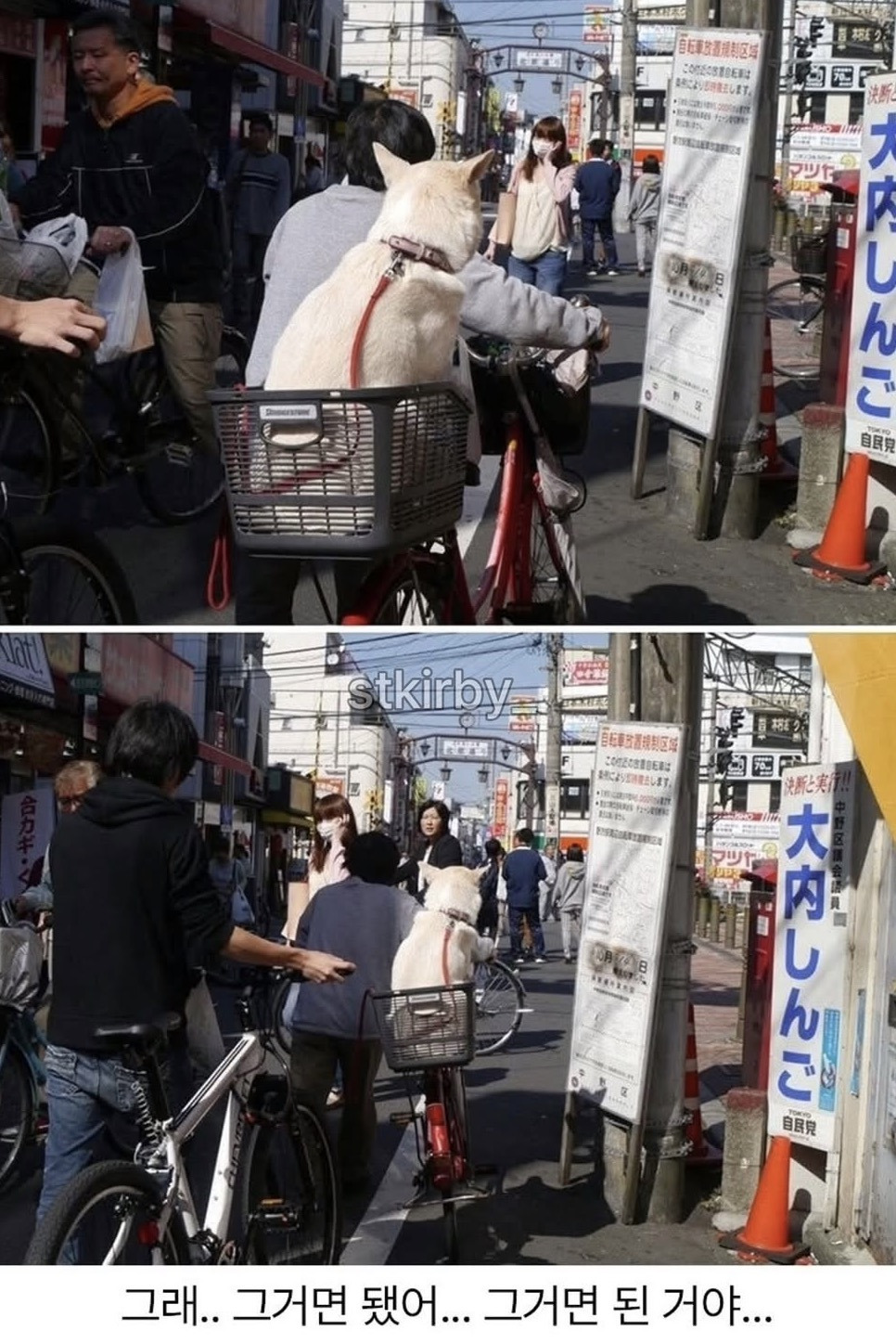 ??:당신은 무사히 사람으로 태어났구려 | 인스티즈