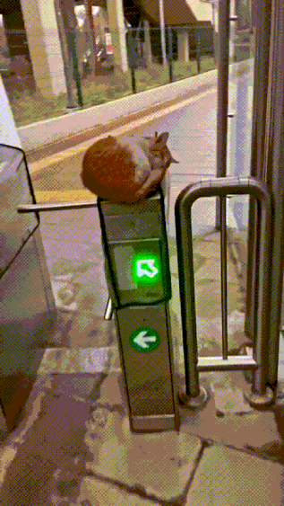 근무는 안서고 잠만 퍼자는 개찰구 역무원 | 인스티즈