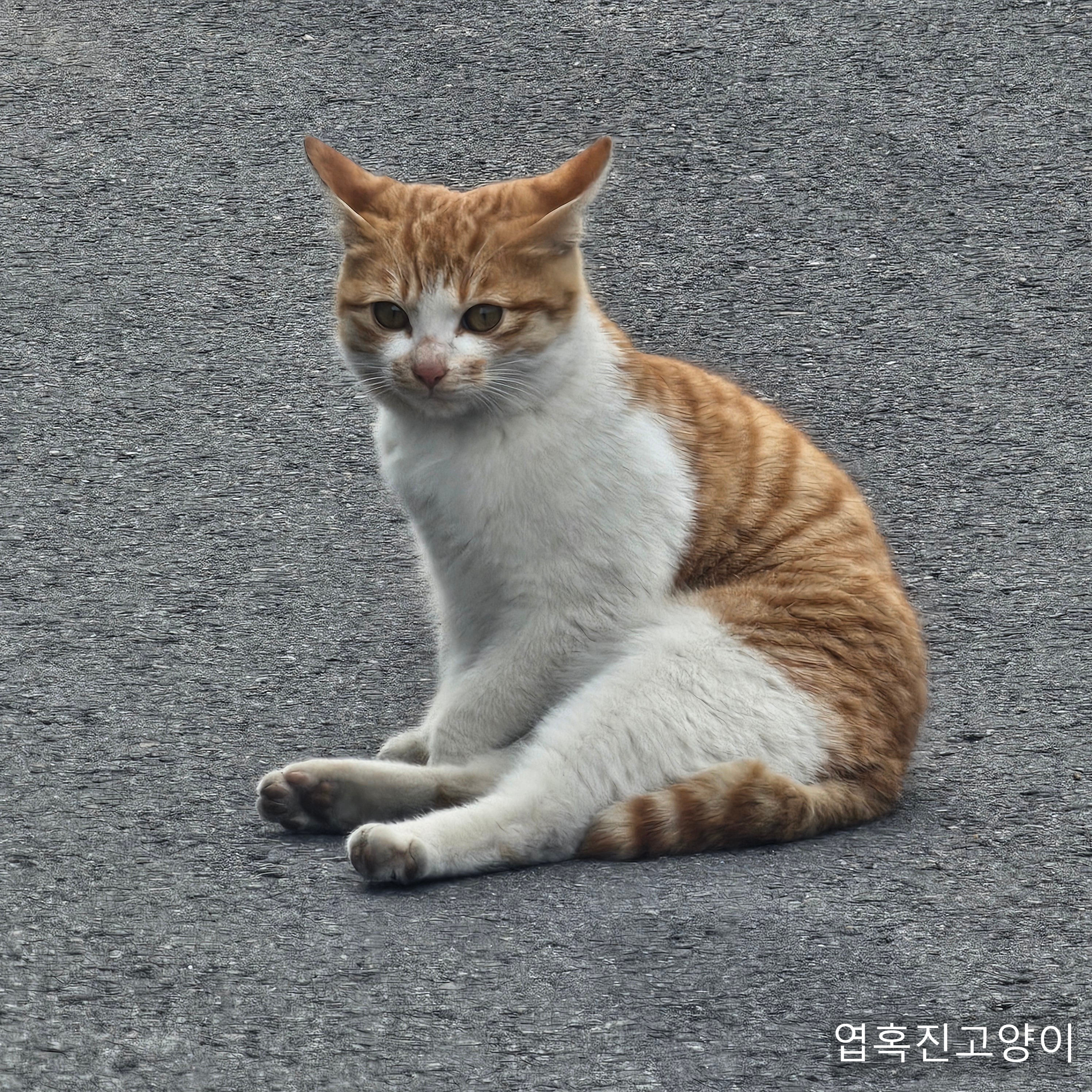 우리회사 복지자랑ㅎ | 인스티즈