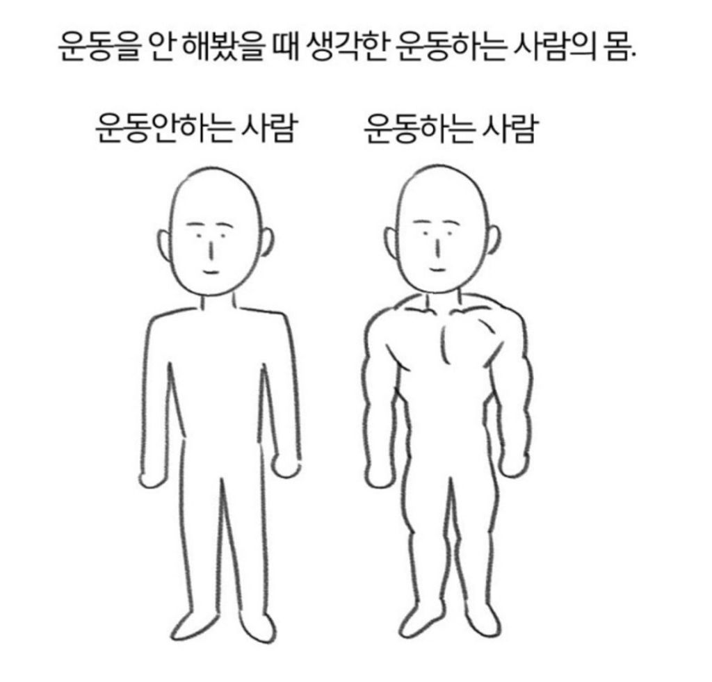 운동을 하면 알게되는 운동 전후 사람의 몸 | 인스티즈