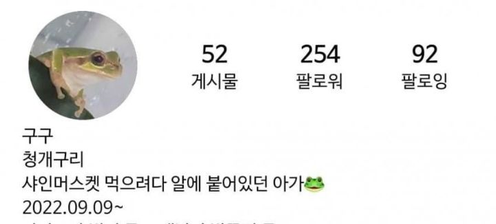 샤인머스캣에서 청개구리가 나왔습니다 | 인스티즈