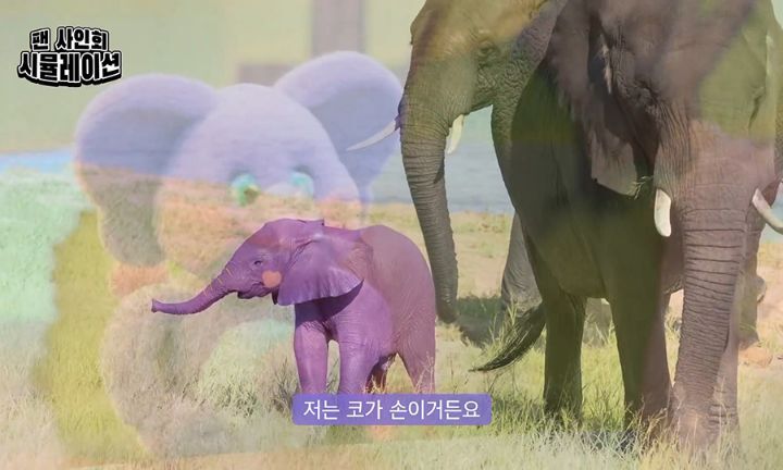 팬싸에 온 팬 저지하는 경호원과 광희.jpgif | 인스티즈