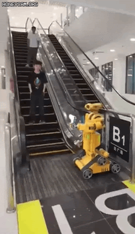 cc376cdf01236d38b806b3d67d2cb7d81c494b11