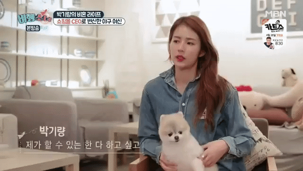 엄청난 수준의 훈련을 받은 강아지 | 인스티즈