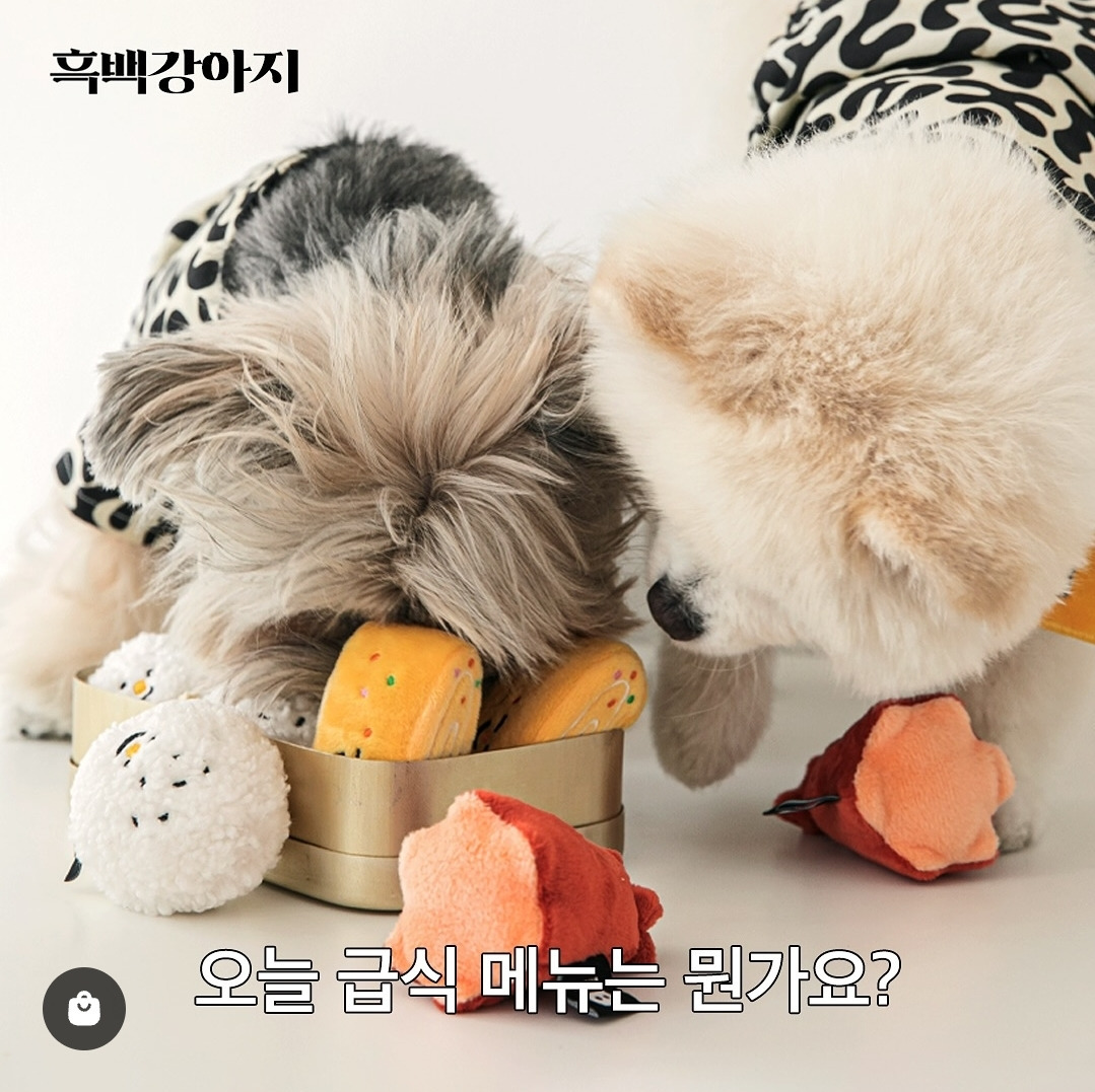 반려견 용품 시장이 얼마나 트렌드에 민감한지 증명해 보겠습니다 feat.흑백요리사 | 인스티즈