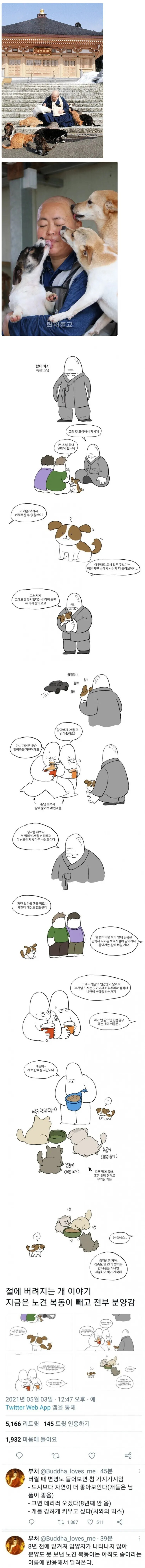 절에 동물들이 넘치는 이유 | 인스티즈