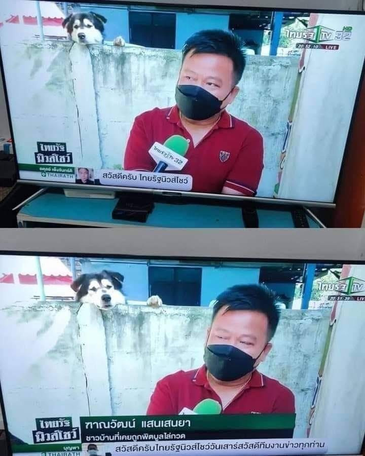 기자양반, 무슨 일 있어요? | 인스티즈