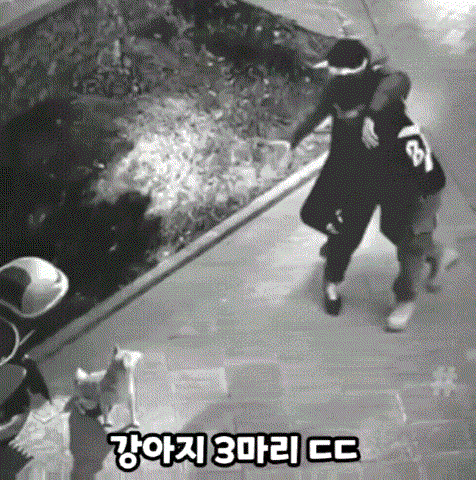 취객에게 잘못 걸린 강아지 | 인스티즈