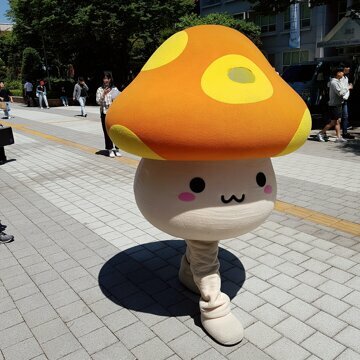 메이플 유저들 충격먹었다는 메이플 "공식" 소설 주황버섯 사냥 방식 | 인스티즈