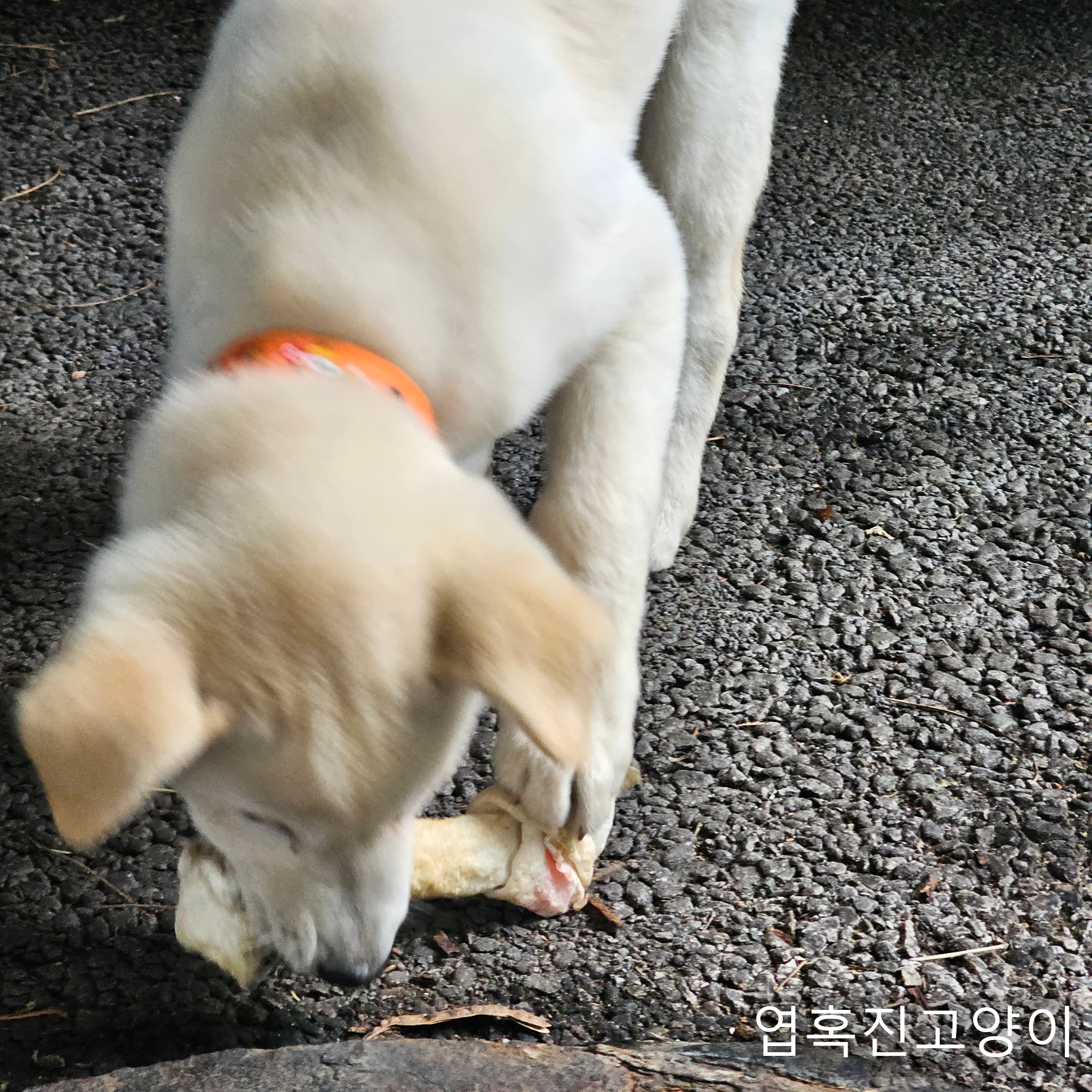 우리회사 복지자랑ㅎ | 인스티즈