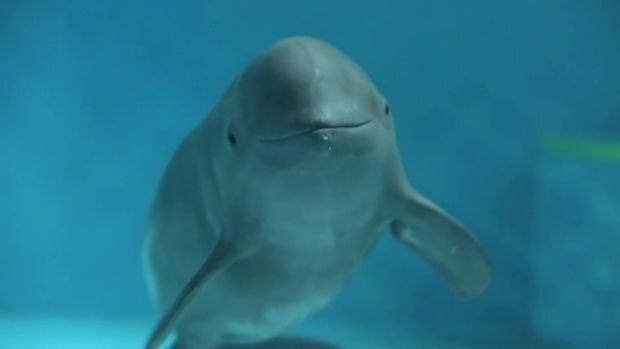 우영우가 이준호 좋아하는 이유 알거같다.jpg | 인스티즈