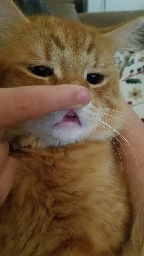 세상에서 제일 하찮은 것.jpg | 인스티즈