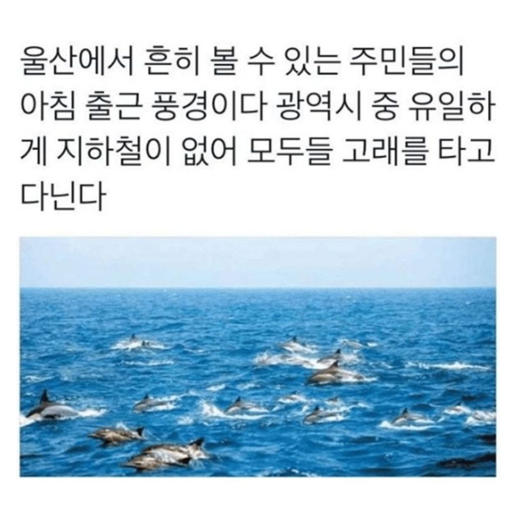 엥 지하철 없으면 뭐타고다님? | 인스티즈
