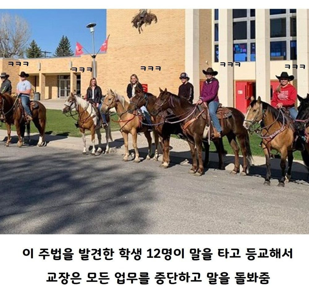 미국 고딩들: 교장 선생님, 고생 좀 하시죠 ㅎㅎㅋㅋ | 인스티즈