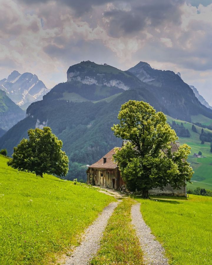 ⛰☀️스위스의 여름.gif | 인스티즈