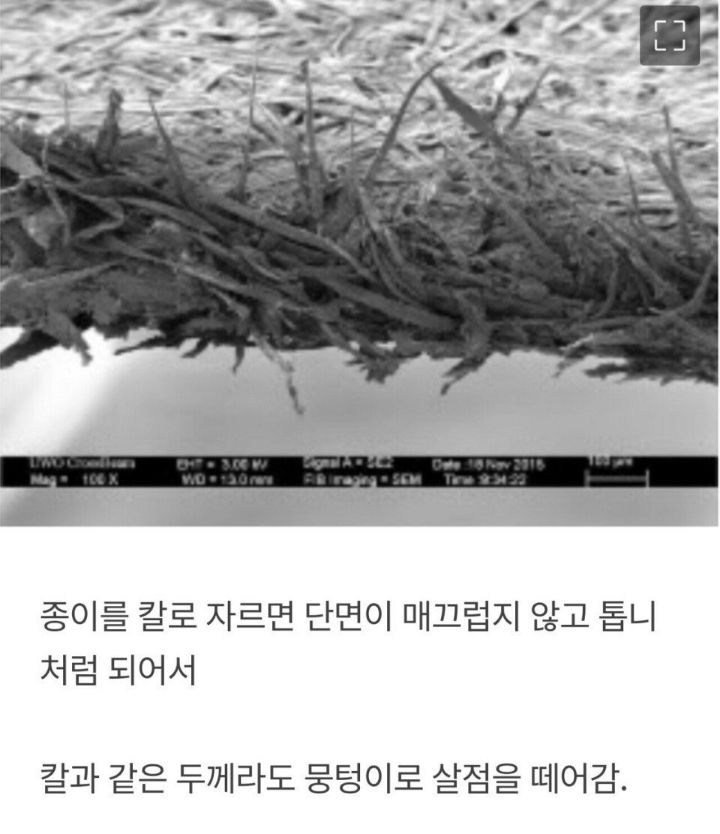 종이에 베이면 아픈 이유 | 인스티즈
