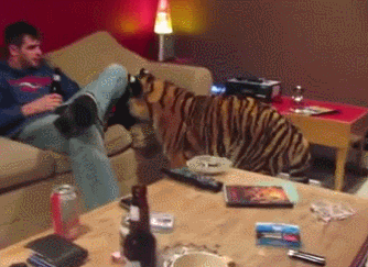 강아지는 다 커서도 애기다 | 인스티즈