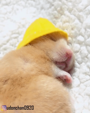 유치원 갈 준비 다 해놓고 잠들어버린 | 인스티즈