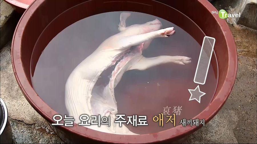 호불호 갈리는 한식 | 인스티즈