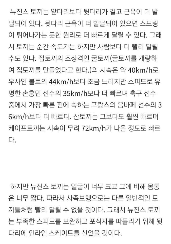 수의사가 분석하는 뉴진스 토끼 특징 | 인스티즈