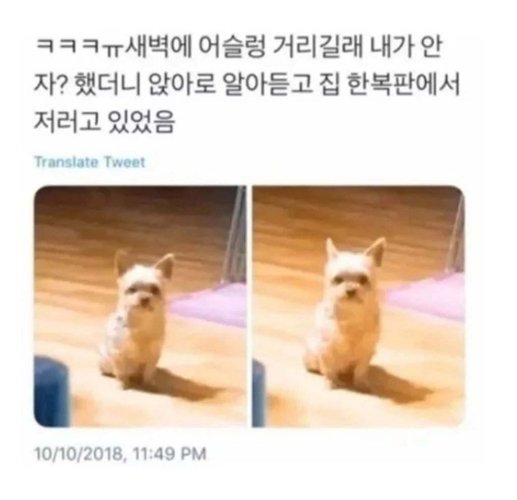 새벽에 안자길래 안자? 라고 물어봤는데 | 인스티즈