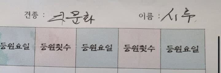 잡종, 믹스의 또 다른 표현 | 인스티즈