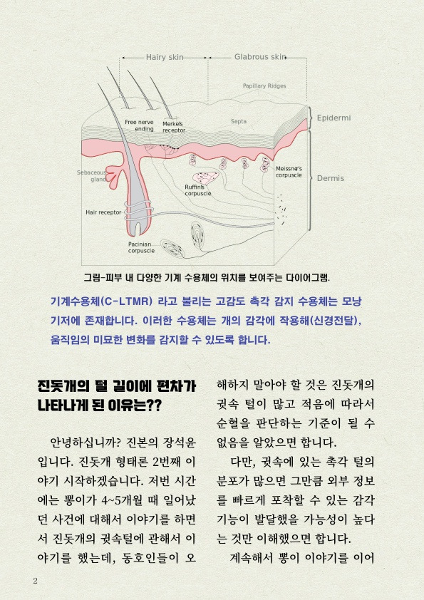 천재 진돗개의 '털' 감각 | 인스티즈