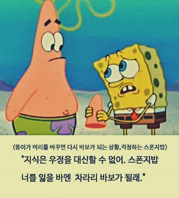 뚱이 이미지