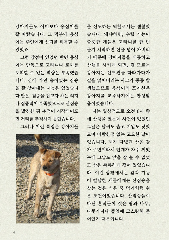 천재 진돗개의 '털' 감각 | 인스티즈