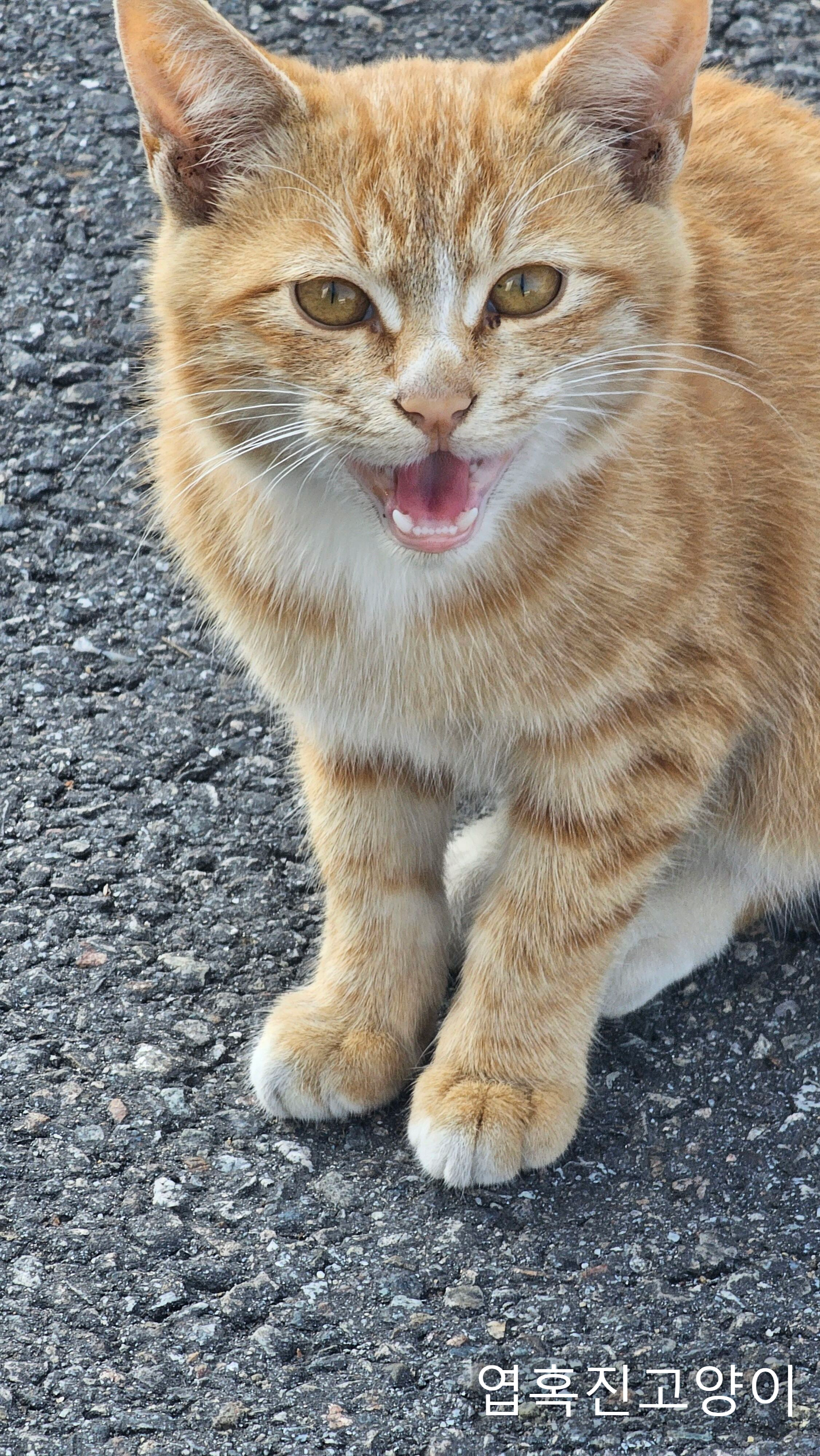 우리회사 복지자랑ㅎ | 인스티즈