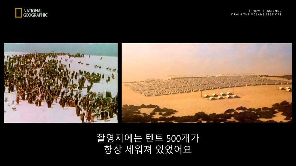 최근 새롭게 발굴된 스핑크스 | 인스티즈