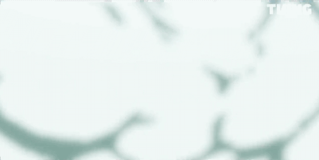 국내외에서 본격적으로 제작중인 웹툰 원작 애니메이션 20개 | 인스티즈