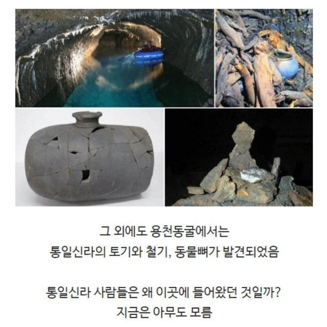 전신주 교체하다가 발견한 세계 | 인스티즈