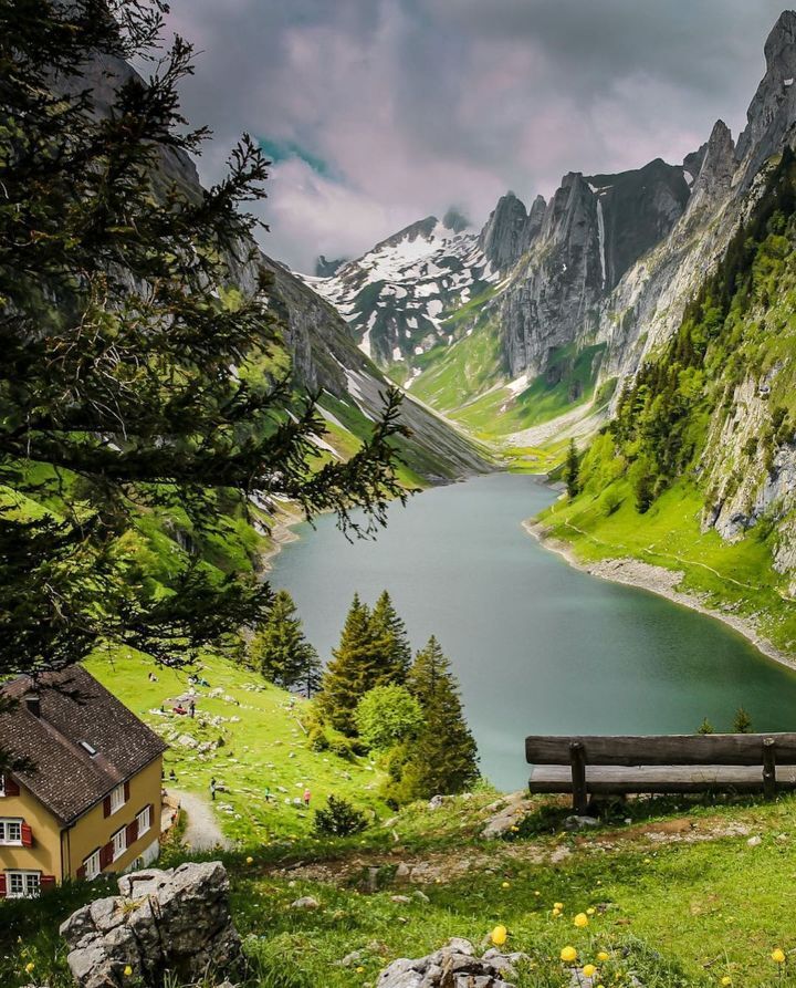 ⛰☀️스위스의 여름.gif | 인스티즈